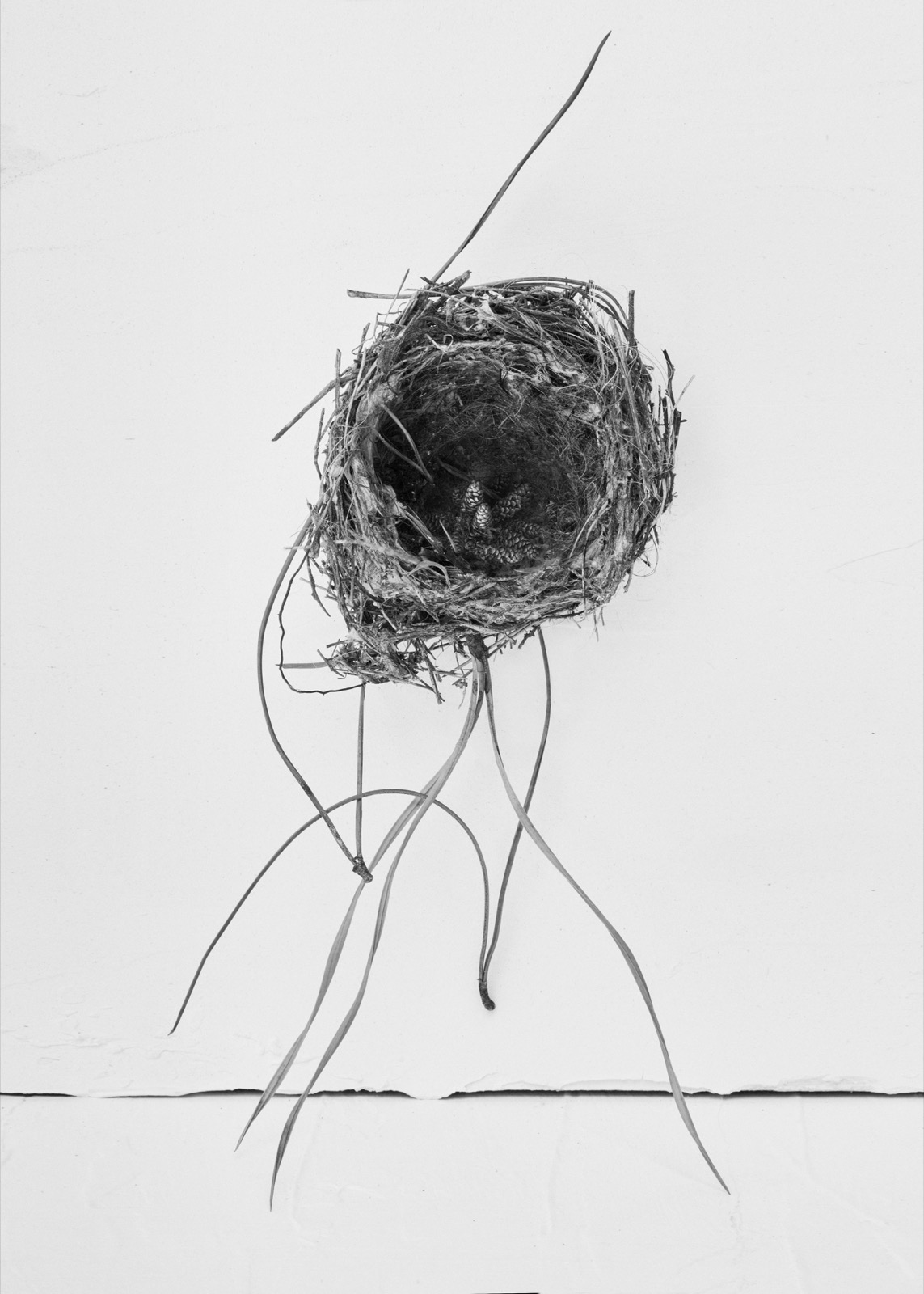 Needles