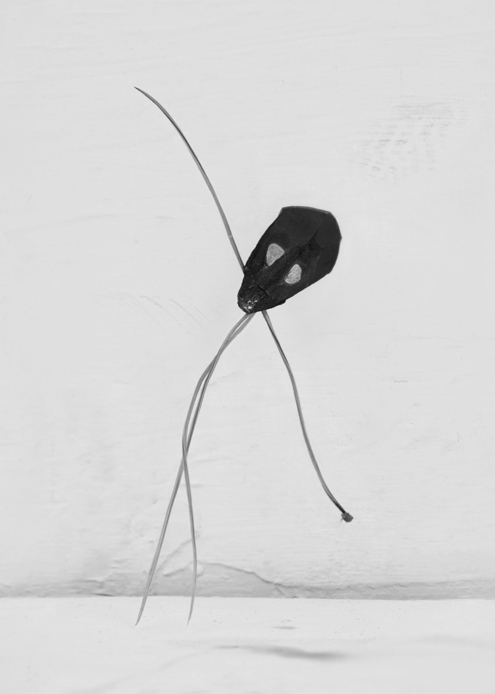 Needles