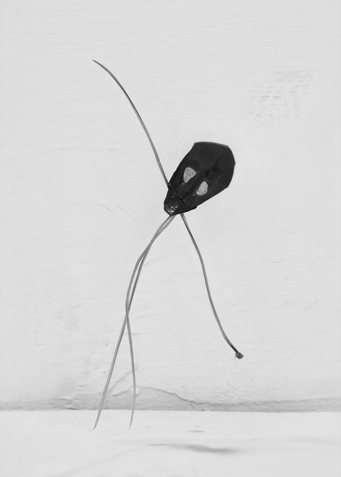 Needles