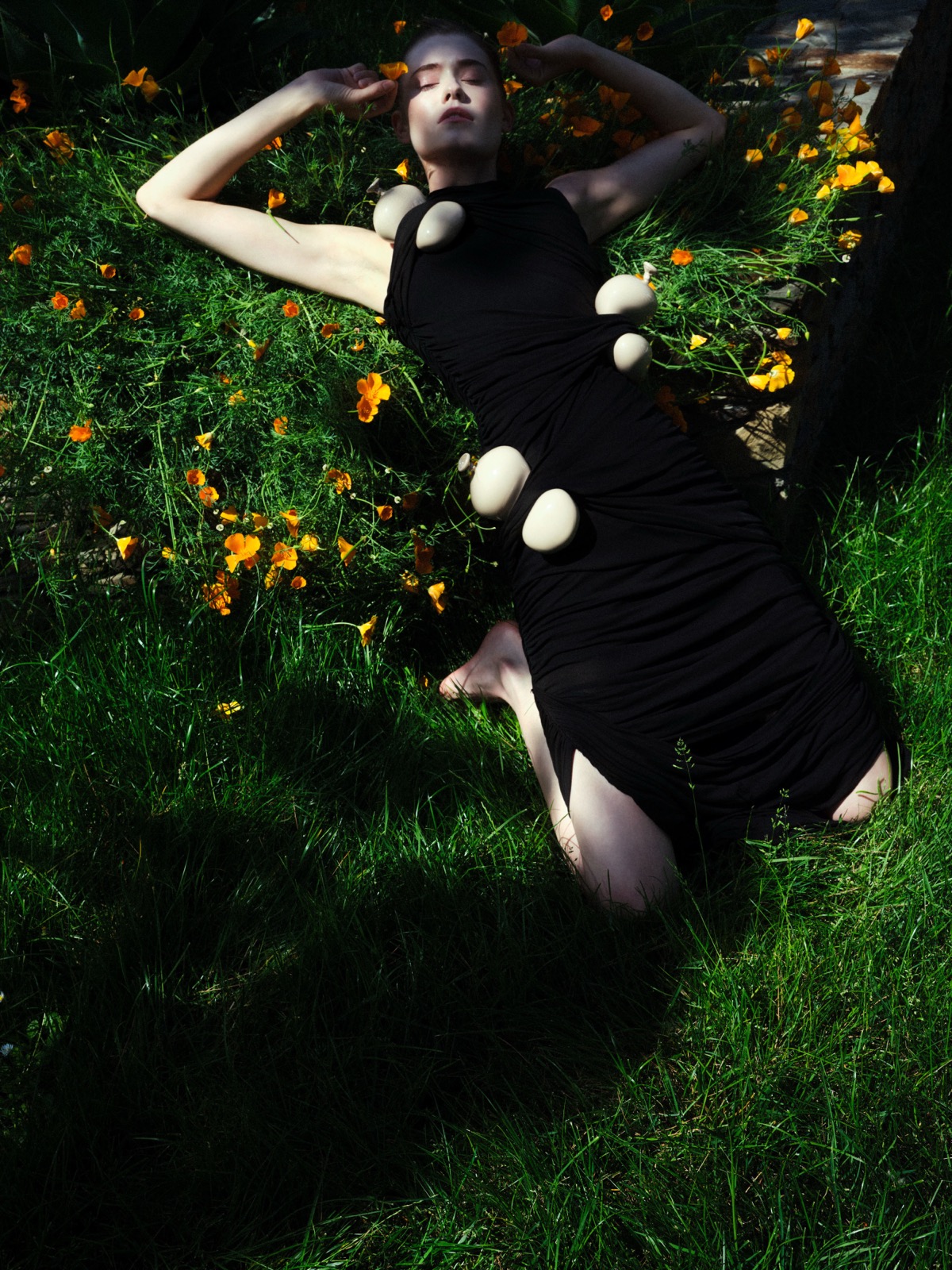 (untitled)