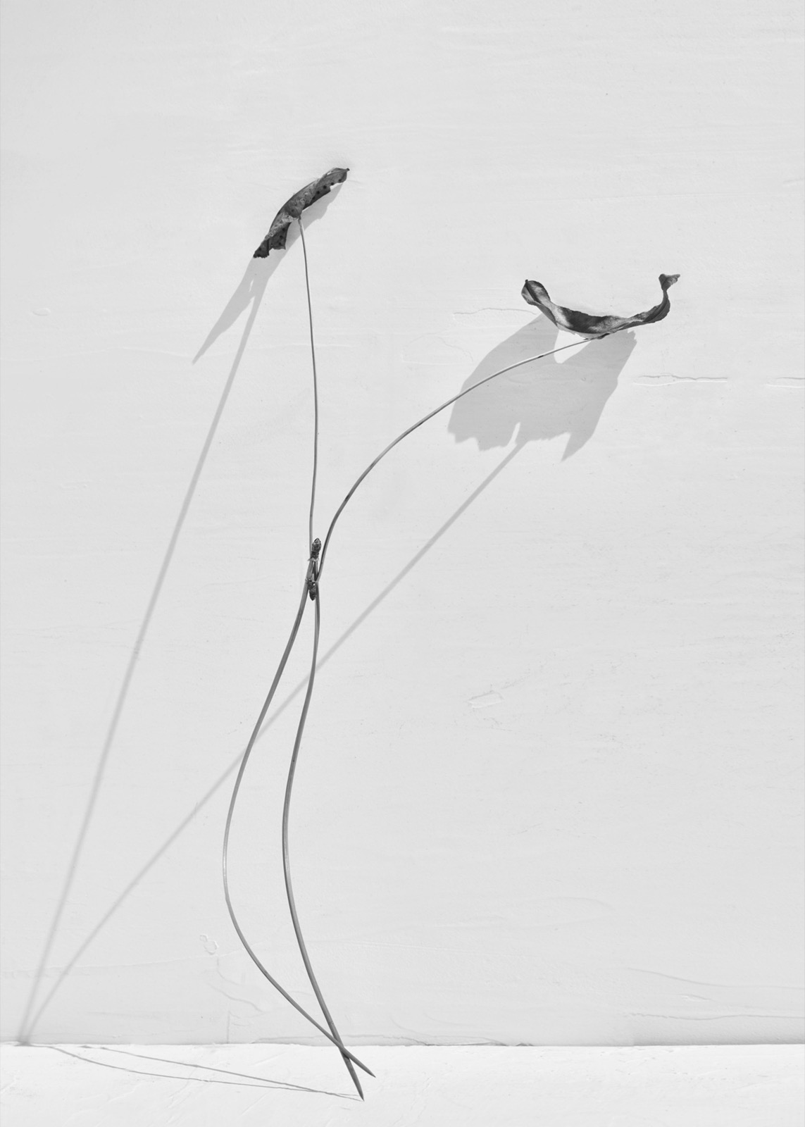 Needles