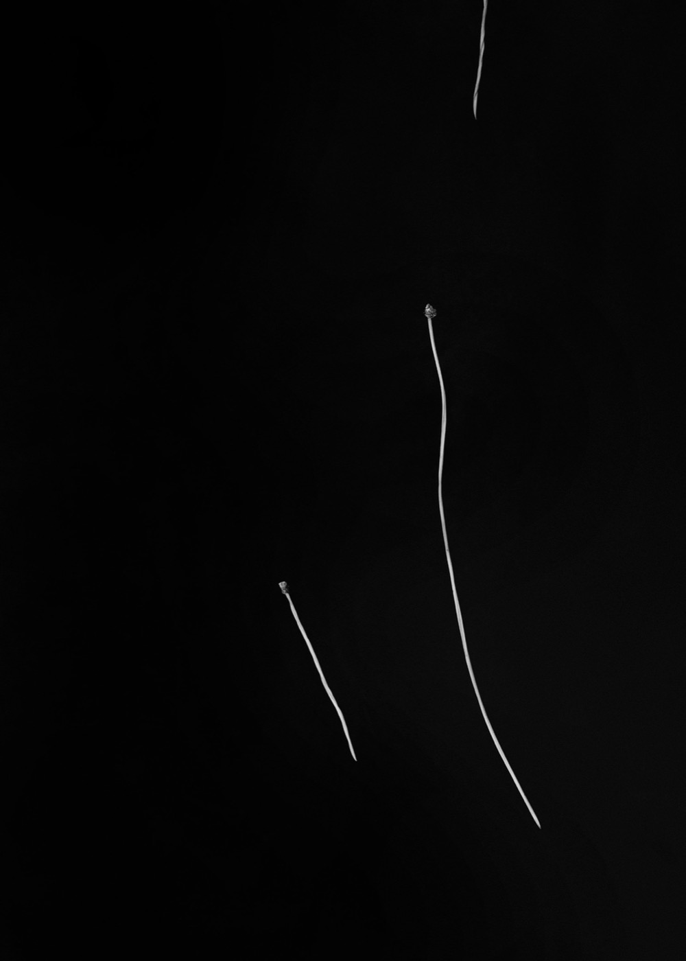 Needles