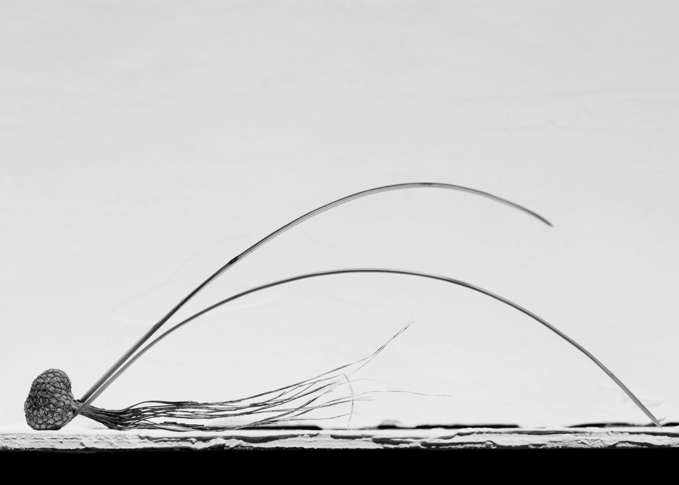 Needles