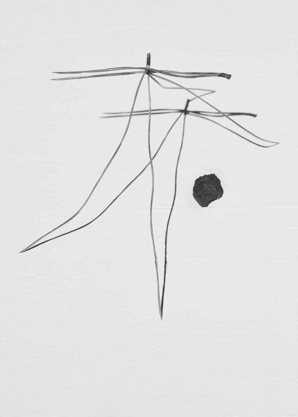 Needles