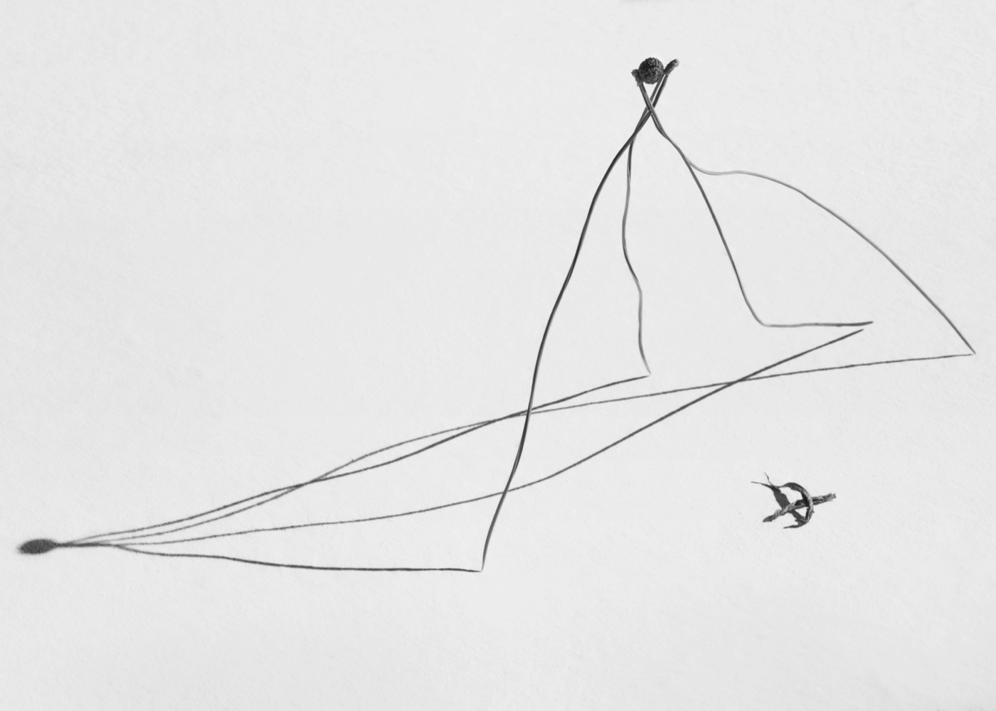 Needles