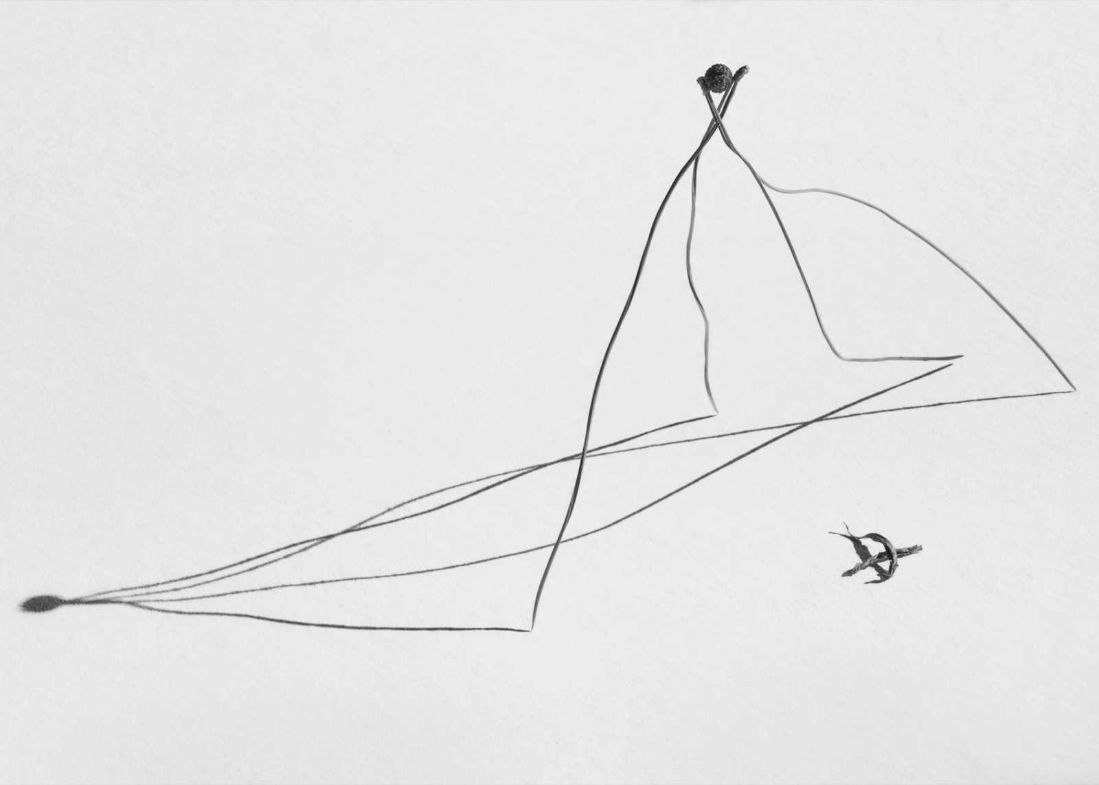 Needles