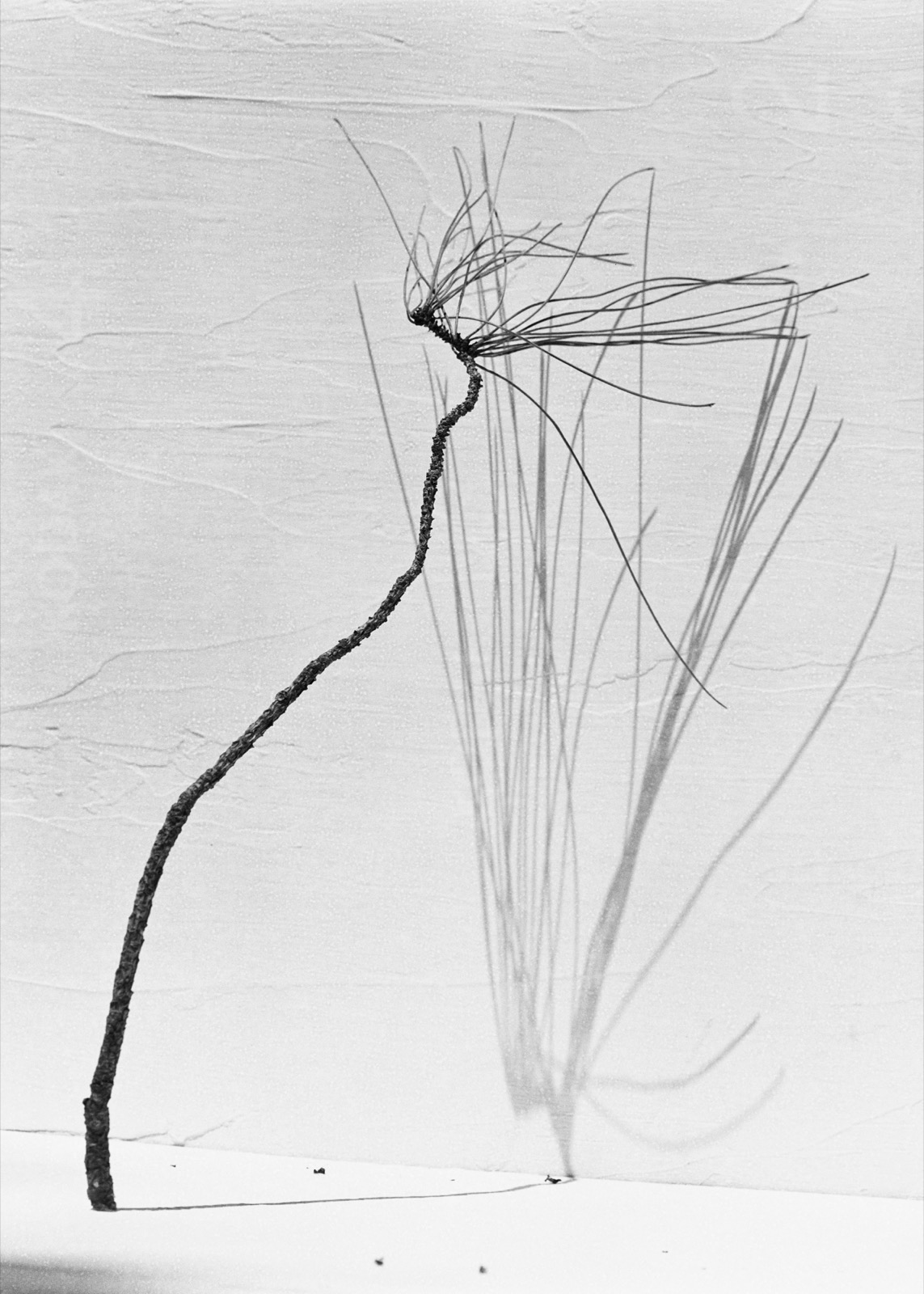 Needles