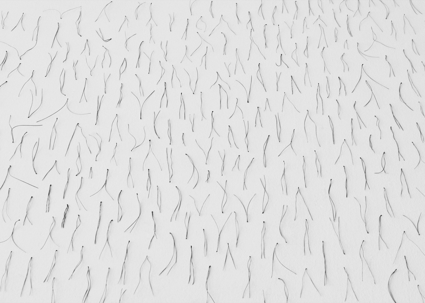 Needles