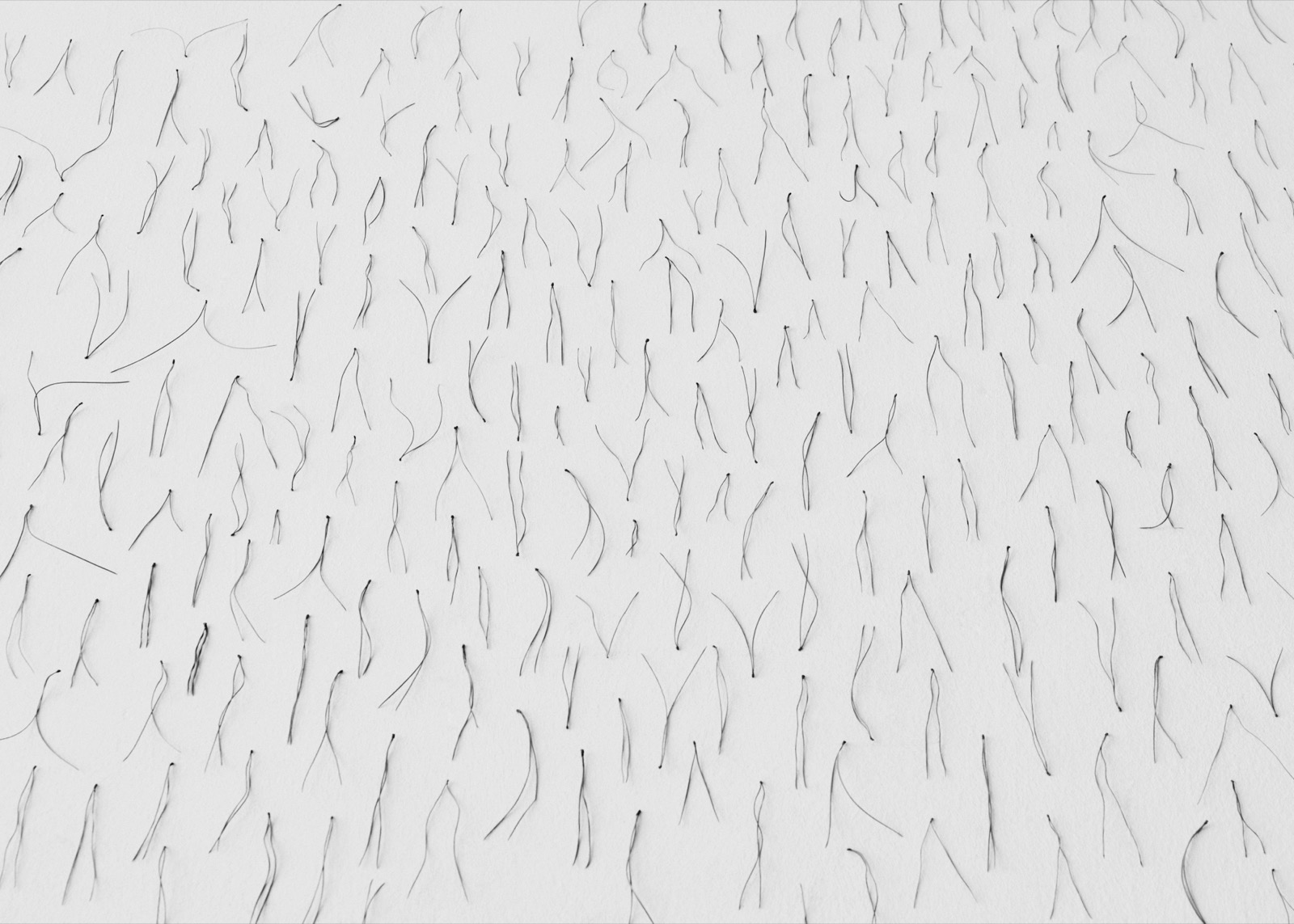 Needles