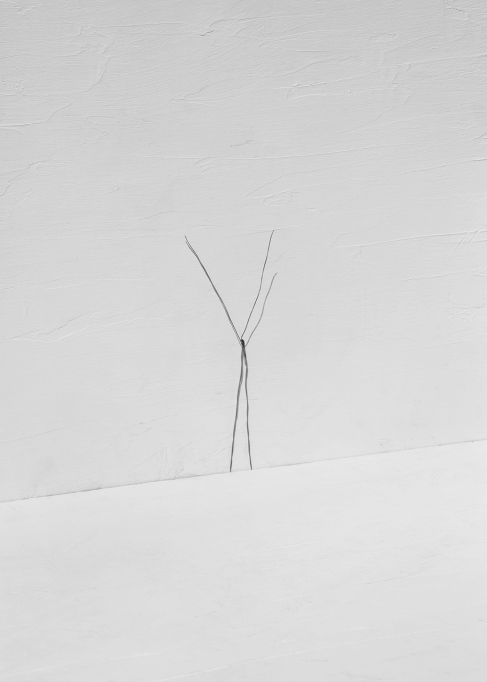 Needles