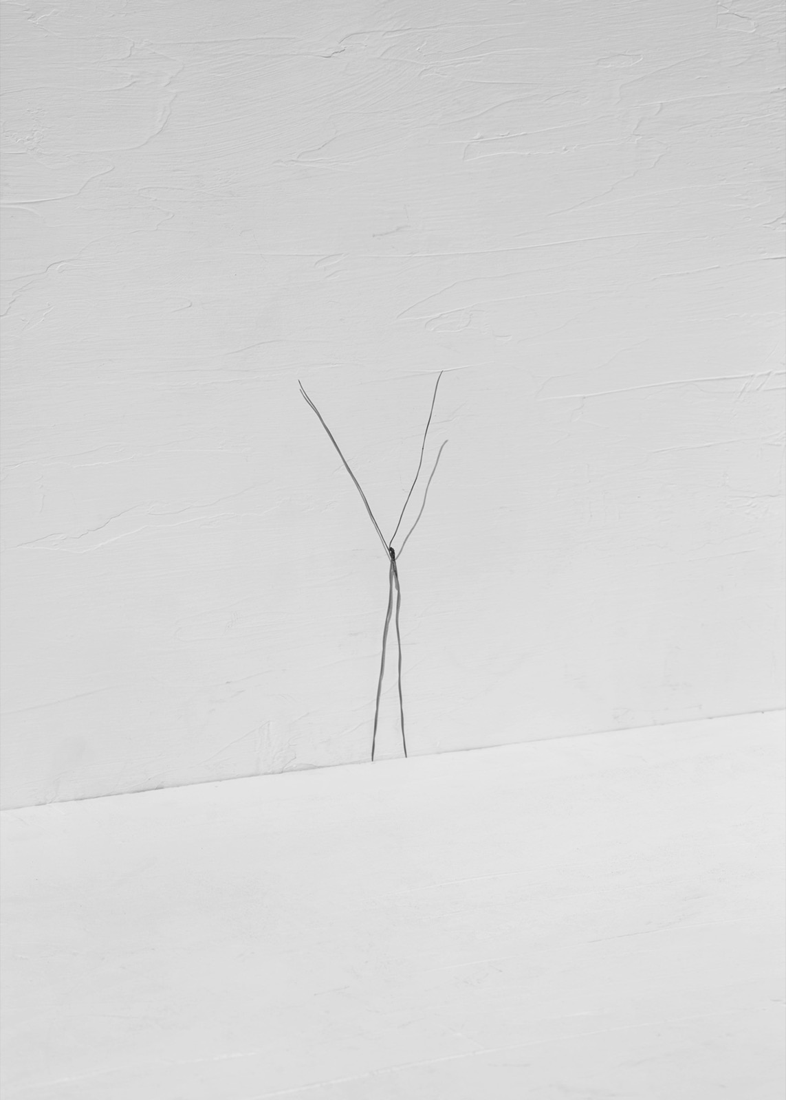 Needles