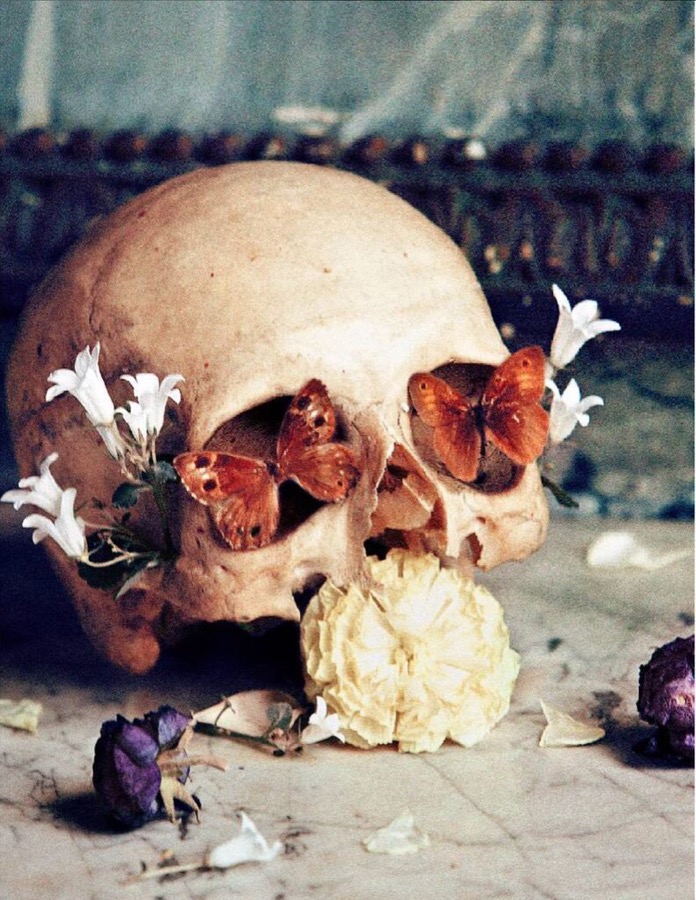 Spring Vanitas