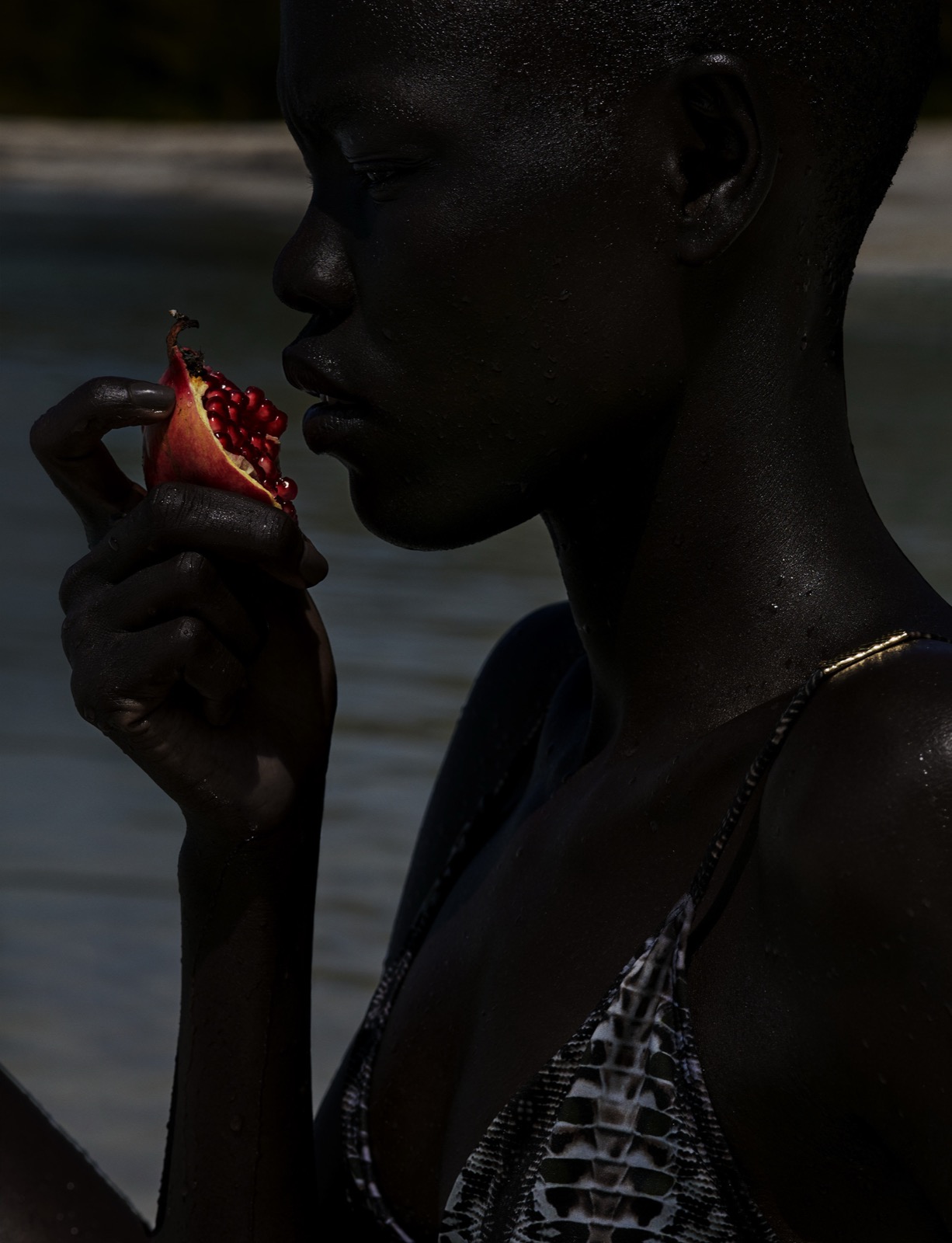 The Fruit