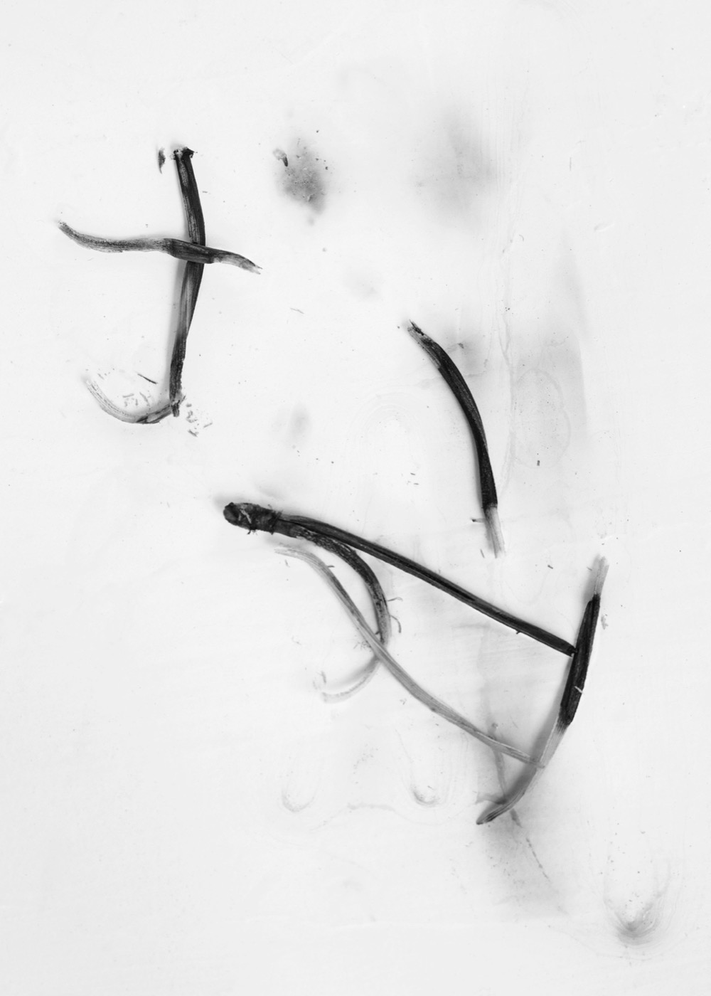 Needles