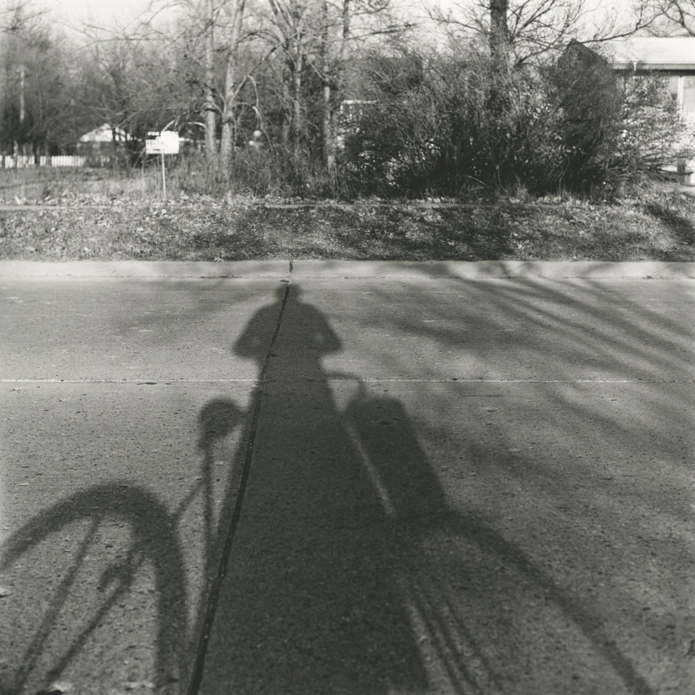 Self-portrait, Chicago area