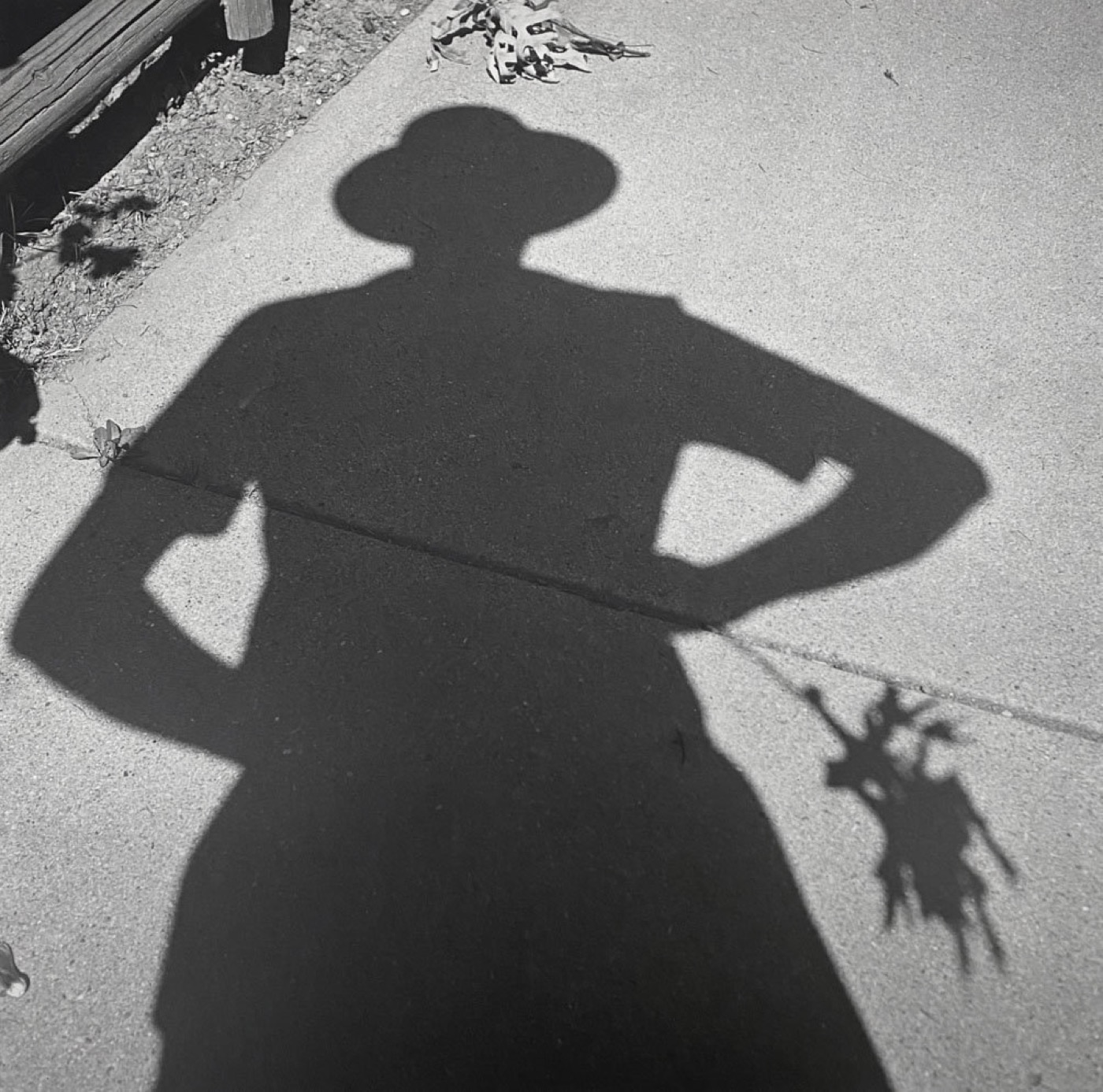 Untitled, Self-portrait
