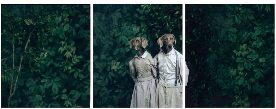 Hansel and Gretel