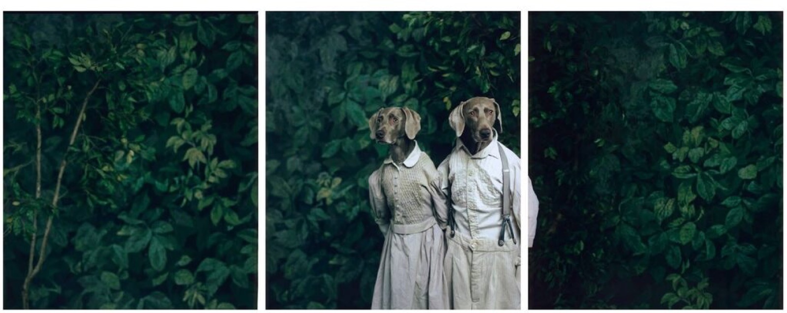 Hansel and Gretel