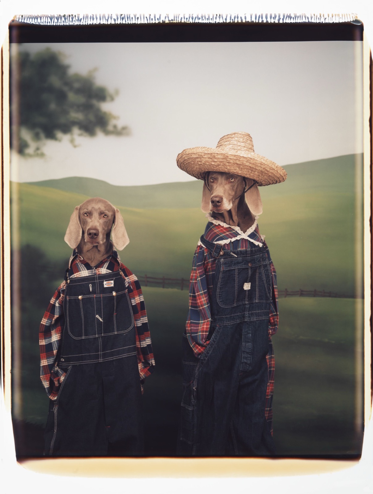Farm Hands