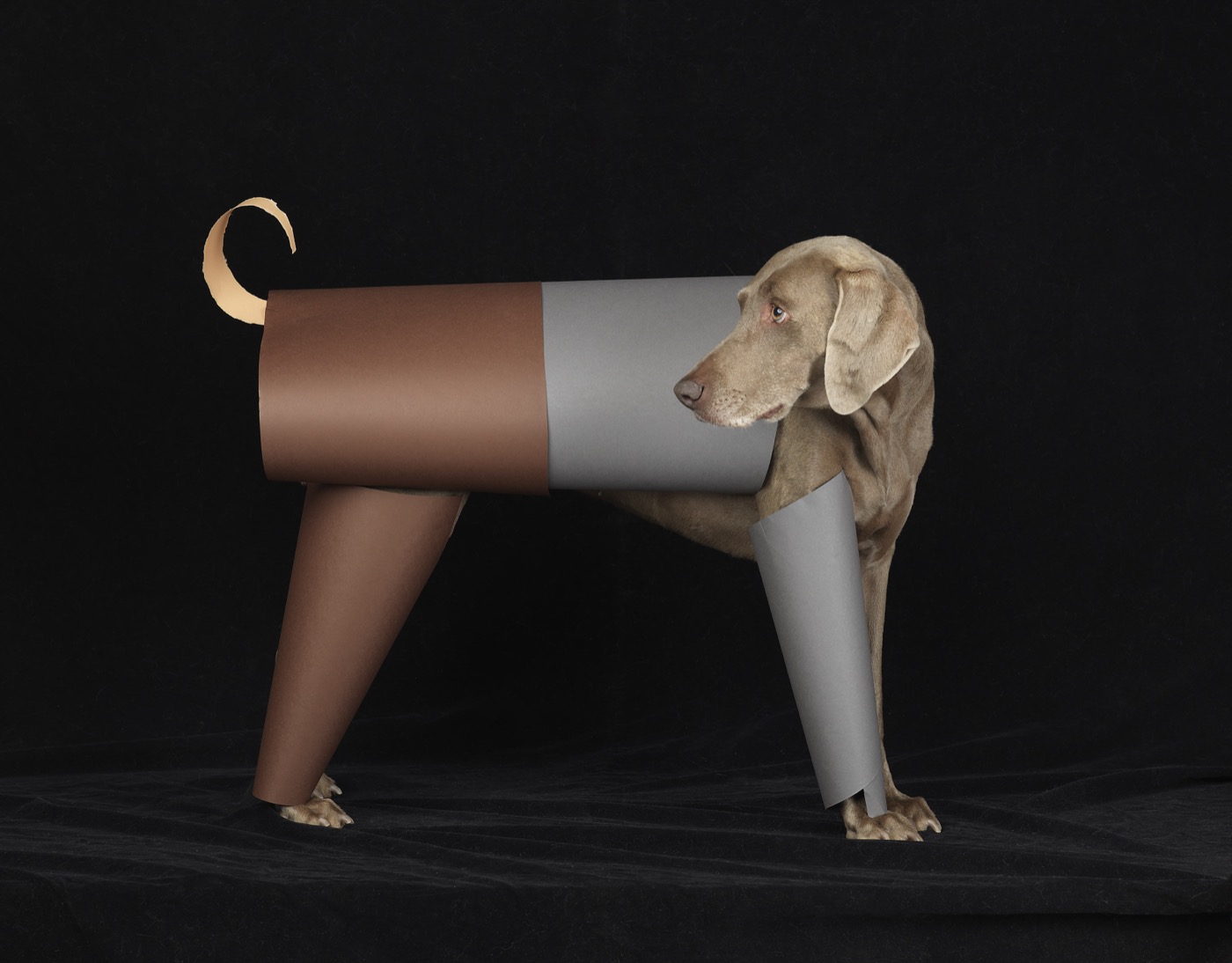 The Toy