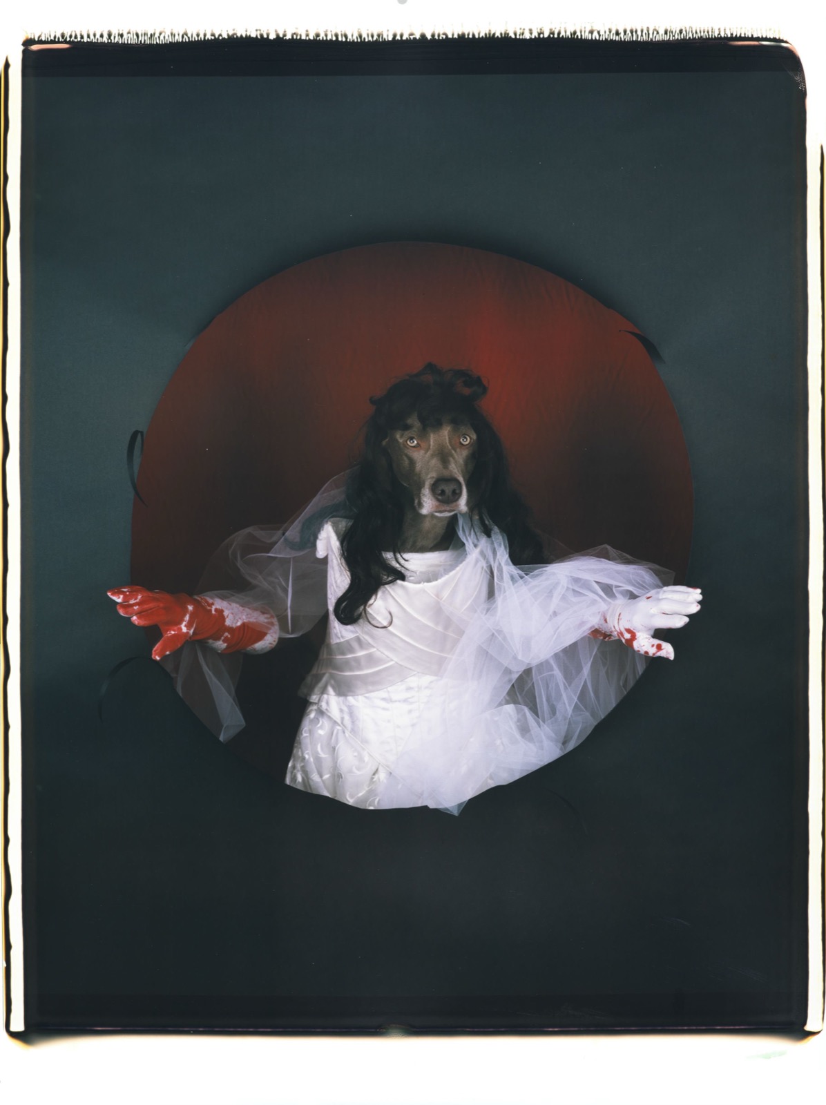 Lucia de Lammermoor