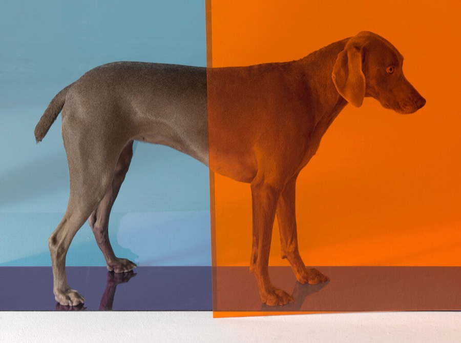 Divide, 2008