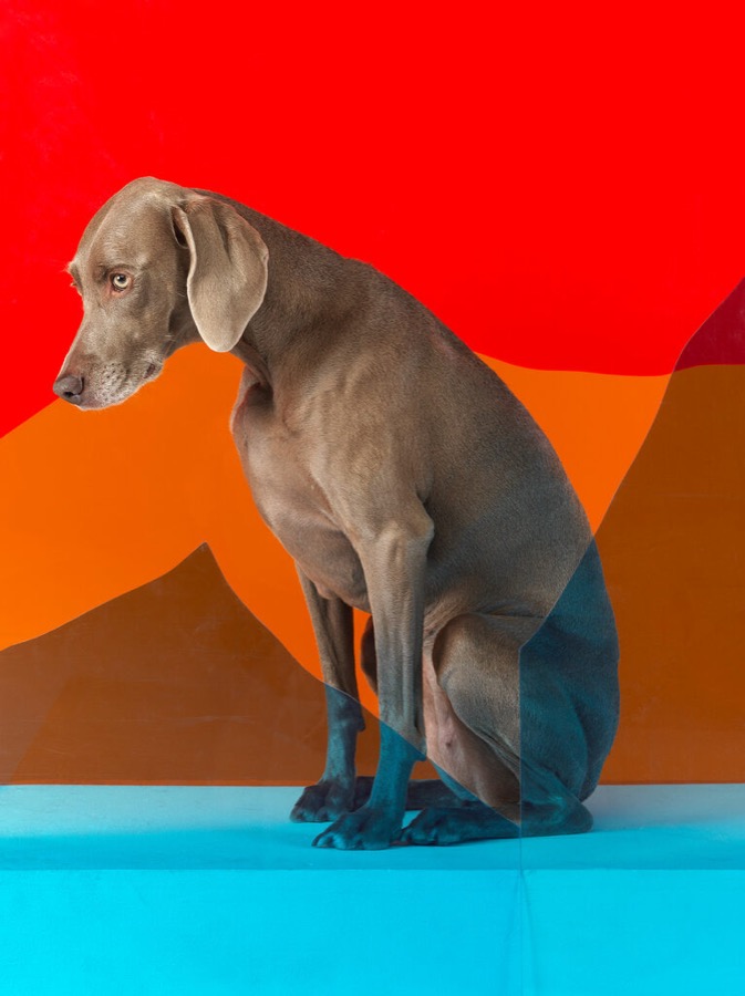 On Edge, 2010