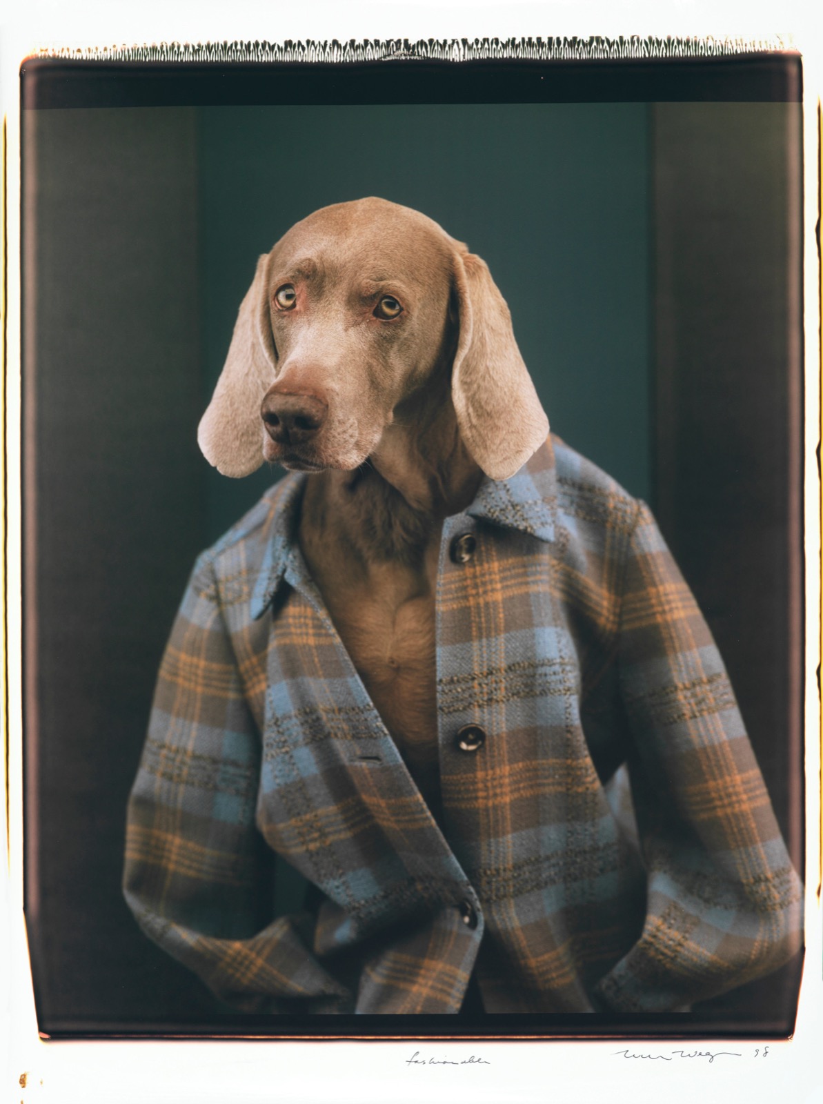 Fashionable